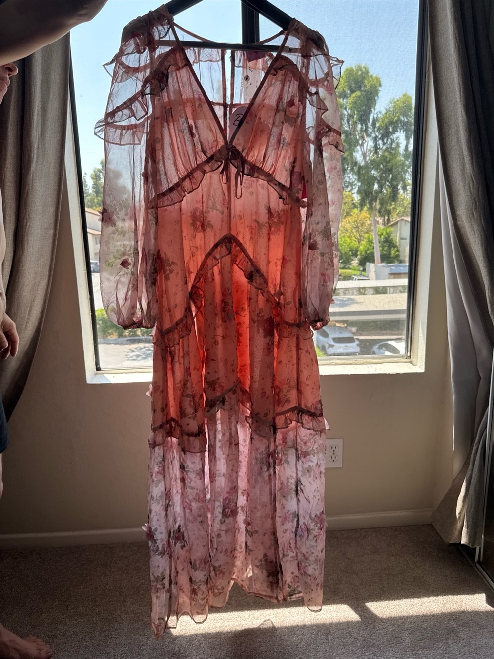 NWT BuddyLove Pink Floral Sheer Maxi Dress L